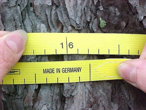 Registered Foresters and their staffs use a "d-tape" (diameter tape) to measure the diameter of the trees that they sample during a timber cruise (timber volume estimate).  Each marked "inch" on the d-tape is actually 3.1416 (equal to Pi) inches, since Circumference divided by Pi = Diameter.  This tree was about 15.8 inches in diameter when this measurement was taken.  The d-tape is to be wrapped around each tree approximated 4.5' from the ground to arrive at a measurement of the tree's "diameter at breast height."  That diameter and various tree height measurements are, along with measurements from many other trees, fed into calculations of timber volume to arrive at an estimate of the volume (usually expressed in tons, these days) of the timber in a whole stand of trees.  The forester and potential buyers can use the volume estimate to arrive at an estimate of the value of the timber on a tract of land.  Oftentimes, a potential buyer will perform or have someone perform his/her own timber cruise on a tract that is under consideration for purchase, as a part of the potential buyer's due diligence.