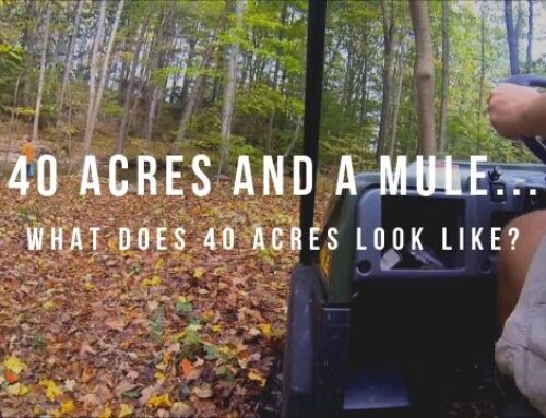 40 acres and a Mule…what does 40 acres look like?