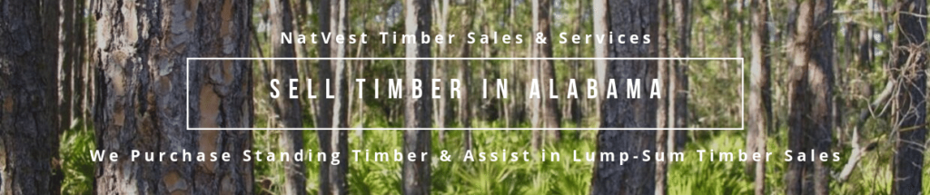  Alabama Timber Sales, Timber Broker, Timber Buyer, Timber Harvesting, Cut Timber, Other Timber-related Services.  NatVest Timber & Forestry.